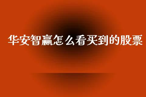 华安智赢怎么看买到的股票_https://wap.kuaijiepai.net_金融科技_第1张