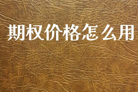 期权价格怎么用_https://wap.kuaijiepai.net_金融科技_第1张