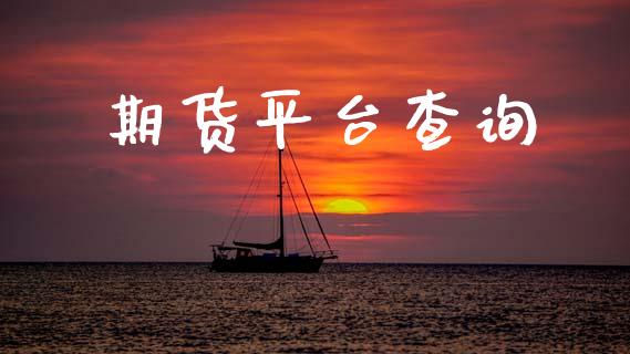 期货平台查询_https://wap.kuaijiepai.net_财务风控_第1张