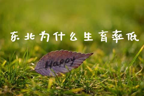 东北为什么生育率低_https://wap.kuaijiepai.net_外汇交易_第1张