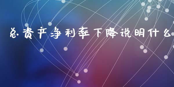 总资产净利率下降说明什么_https://wap.kuaijiepai.net_财务风控_第1张