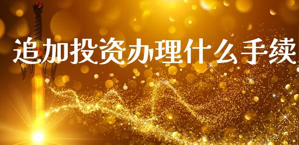 追加投资办理什么手续_https://wap.kuaijiepai.net_外汇交易_第1张