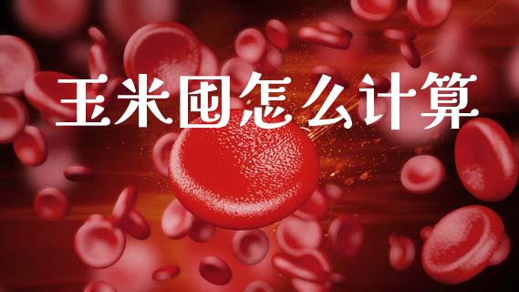 玉米囤怎么计算_https://wap.kuaijiepai.net_外汇交易_第1张