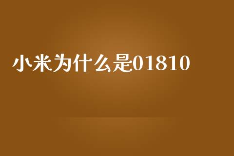 小米为什么是01810_https://wap.kuaijiepai.net_财务咨询_第1张