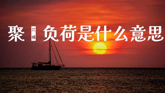 聚酯负荷是什么意思_https://wap.kuaijiepai.net_外汇交易_第1张