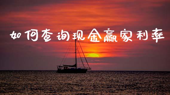 如何查询现金赢家利率_https://wap.kuaijiepai.net_金融科技_第1张