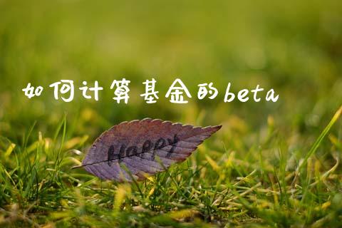 如何计算基金的beta_https://wap.kuaijiepai.net_外汇交易_第1张