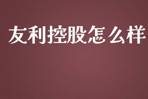 友利控股怎么样_https://wap.kuaijiepai.net_金融科技_第1张