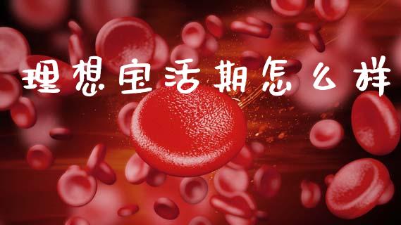 理想宝活期怎么样_https://wap.kuaijiepai.net_金融科技_第1张