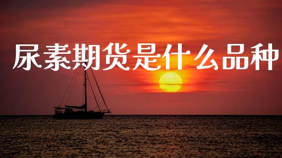 尿素期货是什么品种_https://wap.kuaijiepai.net_外汇交易_第1张