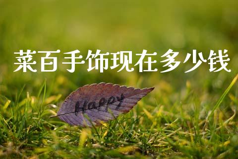 菜百手饰现在多少钱_https://wap.kuaijiepai.net_财务咨询_第1张