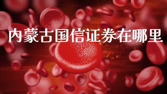 内蒙古国信证券在哪里_https://wap.kuaijiepai.net_外汇交易_第1张