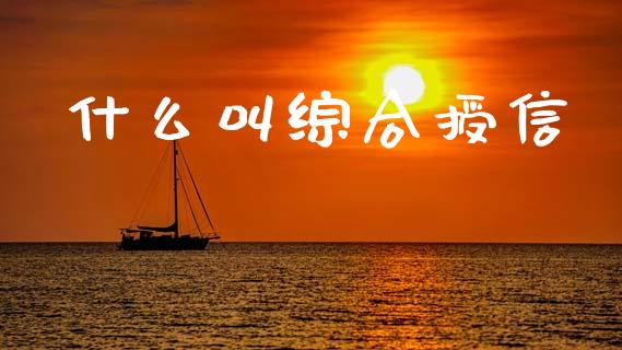 什么叫综合授信_https://wap.kuaijiepai.net_财务咨询_第1张