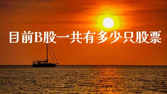目前B股一共有多少只股票_https://wap.kuaijiepai.net_财务咨询_第1张