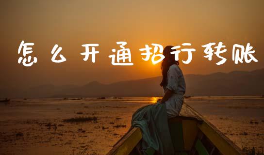 怎么开通招行转账_https://wap.kuaijiepai.net_财务风控_第1张
