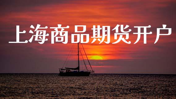 上海商品期货开户_https://wap.kuaijiepai.net_外汇交易_第1张
