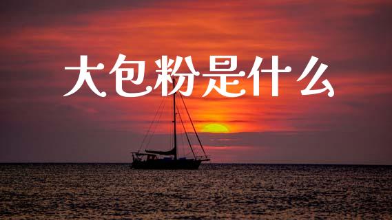 大包粉是什么_https://wap.kuaijiepai.net_财务咨询_第1张