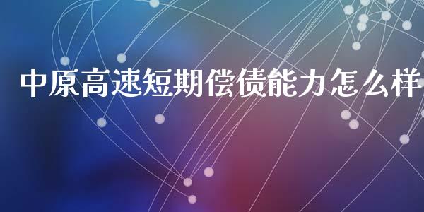 中原高速短期偿债能力怎么样_https://wap.kuaijiepai.net_财务风控_第1张