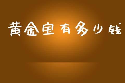 黄金宝有多少钱_https://wap.kuaijiepai.net_财务咨询_第1张