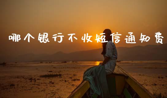 哪个银行不收短信通知费_https://wap.kuaijiepai.net_外汇交易_第1张