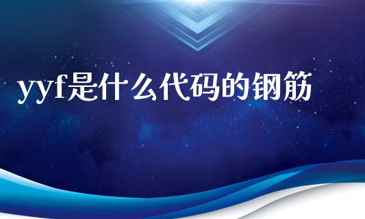 yyf是什么代码的钢筋_https://wap.kuaijiepai.net_财务风控_第1张