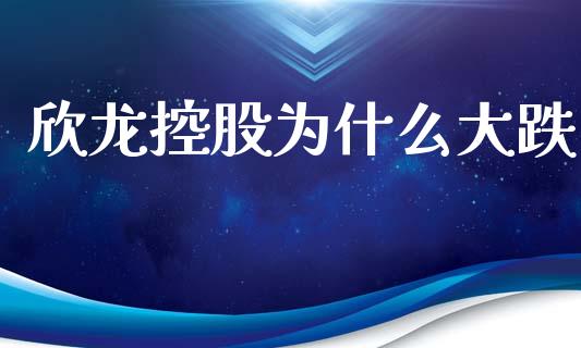 欣龙控股为什么大跌_https://wap.kuaijiepai.net_金融科技_第1张