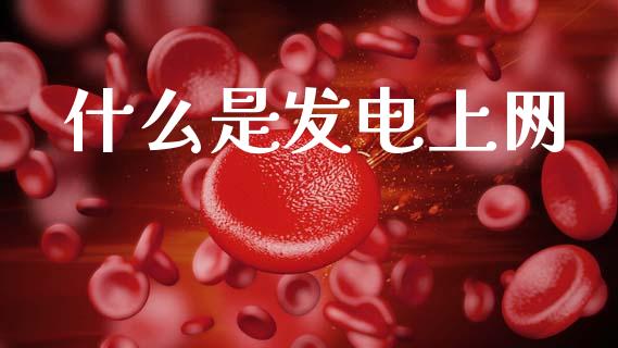 什么是发电上网_https://wap.kuaijiepai.net_财务风控_第1张