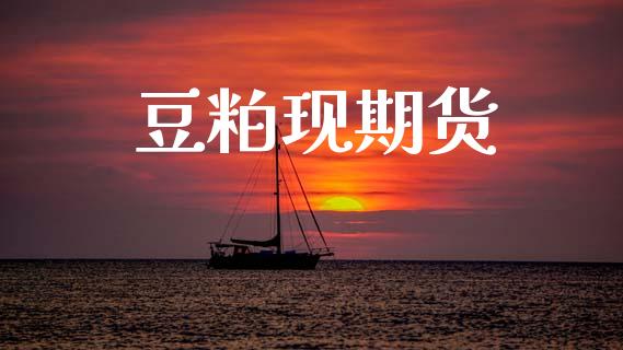 豆粕现期货_https://wap.kuaijiepai.net_财务风控_第1张