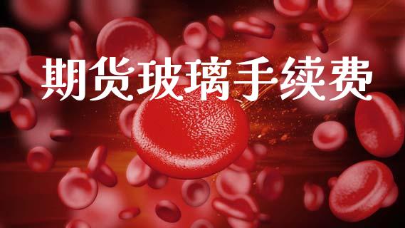 期货玻璃手续费_https://wap.kuaijiepai.net_财务咨询_第1张