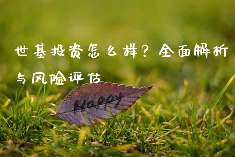 世基投资怎么样？全面解析与风险评估_https://wap.kuaijiepai.net_金融科技_第1张
