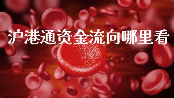 沪港通资金流向哪里看_https://wap.kuaijiepai.net_财务咨询_第1张
