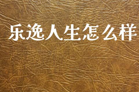 乐逸人生怎么样_https://wap.kuaijiepai.net_财务风控_第1张