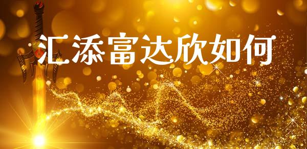 汇添富达欣如何_https://wap.kuaijiepai.net_财务风控_第1张