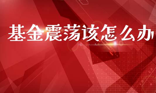 基金震荡该怎么办_https://wap.kuaijiepai.net_财务咨询_第1张