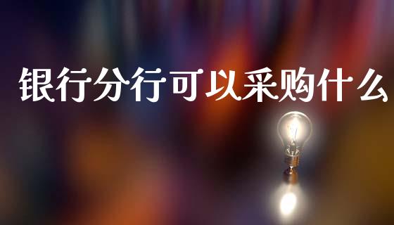 银行分行可以采购什么_https://wap.kuaijiepai.net_金融科技_第1张