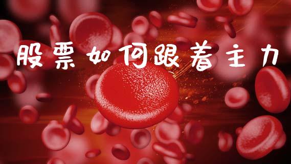 股票如何跟着主力_https://wap.kuaijiepai.net_金融科技_第1张