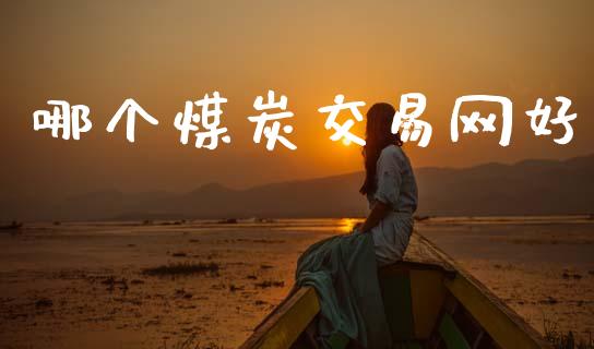 哪个煤炭交易网好_https://wap.kuaijiepai.net_财务风控_第1张