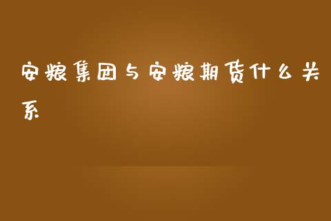 安粮集团与安粮期货什么关系_https://wap.kuaijiepai.net_财务风控_第1张