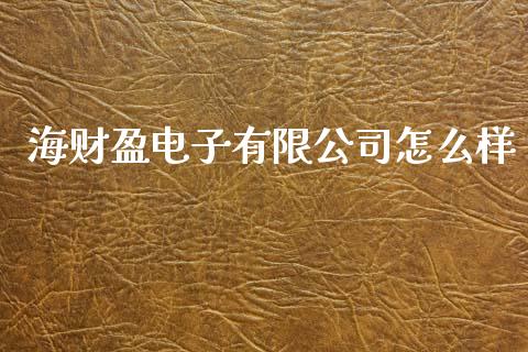 海财盈电子有限公司怎么样_https://wap.kuaijiepai.net_财务风控_第1张