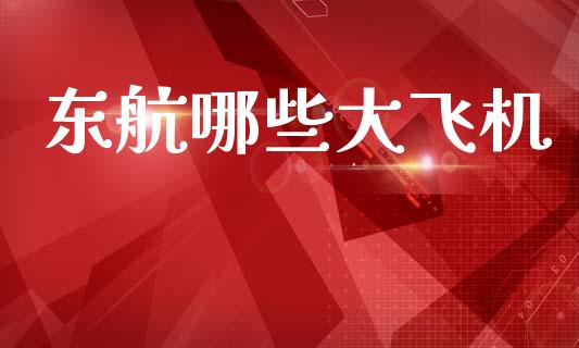 东航哪些大飞机_https://wap.kuaijiepai.net_金融科技_第1张