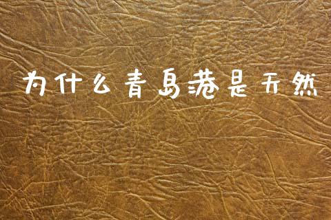 为什么青岛港是天然_https://wap.kuaijiepai.net_金融科技_第1张