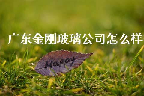广东金刚玻璃公司怎么样_https://wap.kuaijiepai.net_财务风控_第1张