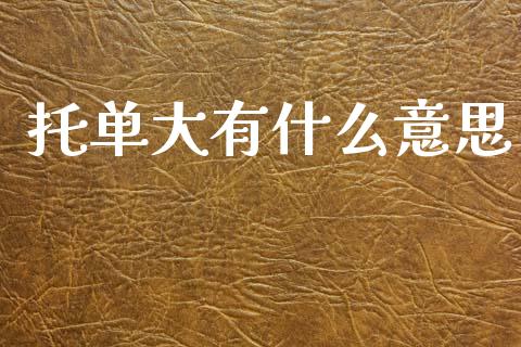 托单大有什么意思_https://wap.kuaijiepai.net_金融科技_第1张