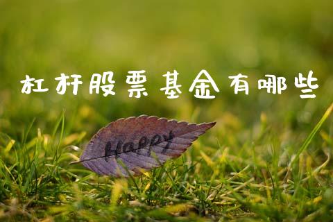 杠杆股票基金有哪些_https://wap.kuaijiepai.net_外汇交易_第1张