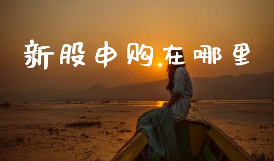 新股申购在哪里_https://wap.kuaijiepai.net_外汇交易_第1张