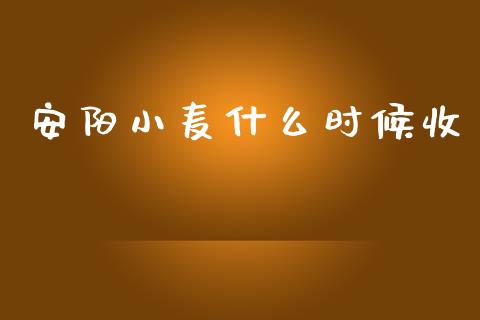 安阳小麦什么时候收_https://wap.kuaijiepai.net_外汇交易_第1张