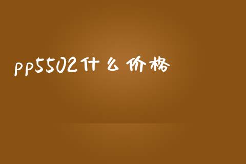 pp5502什么价格_https://wap.kuaijiepai.net_财务咨询_第1张