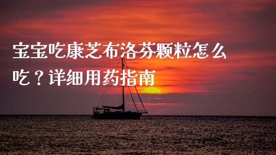 宝宝吃康芝布洛芬颗粒怎么吃？详细用药指南_https://wap.kuaijiepai.net_财务风控_第1张