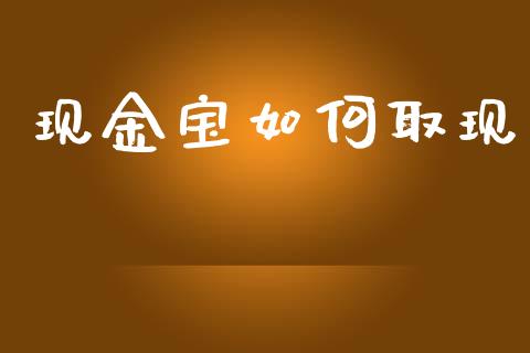 现金宝如何取现_https://wap.kuaijiepai.net_财务咨询_第1张