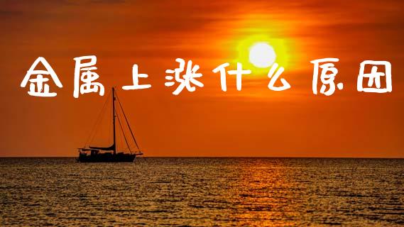 金属上涨什么原因_https://wap.kuaijiepai.net_财务咨询_第1张